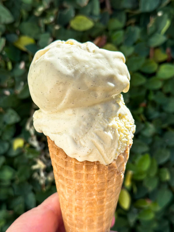 1 vanilla