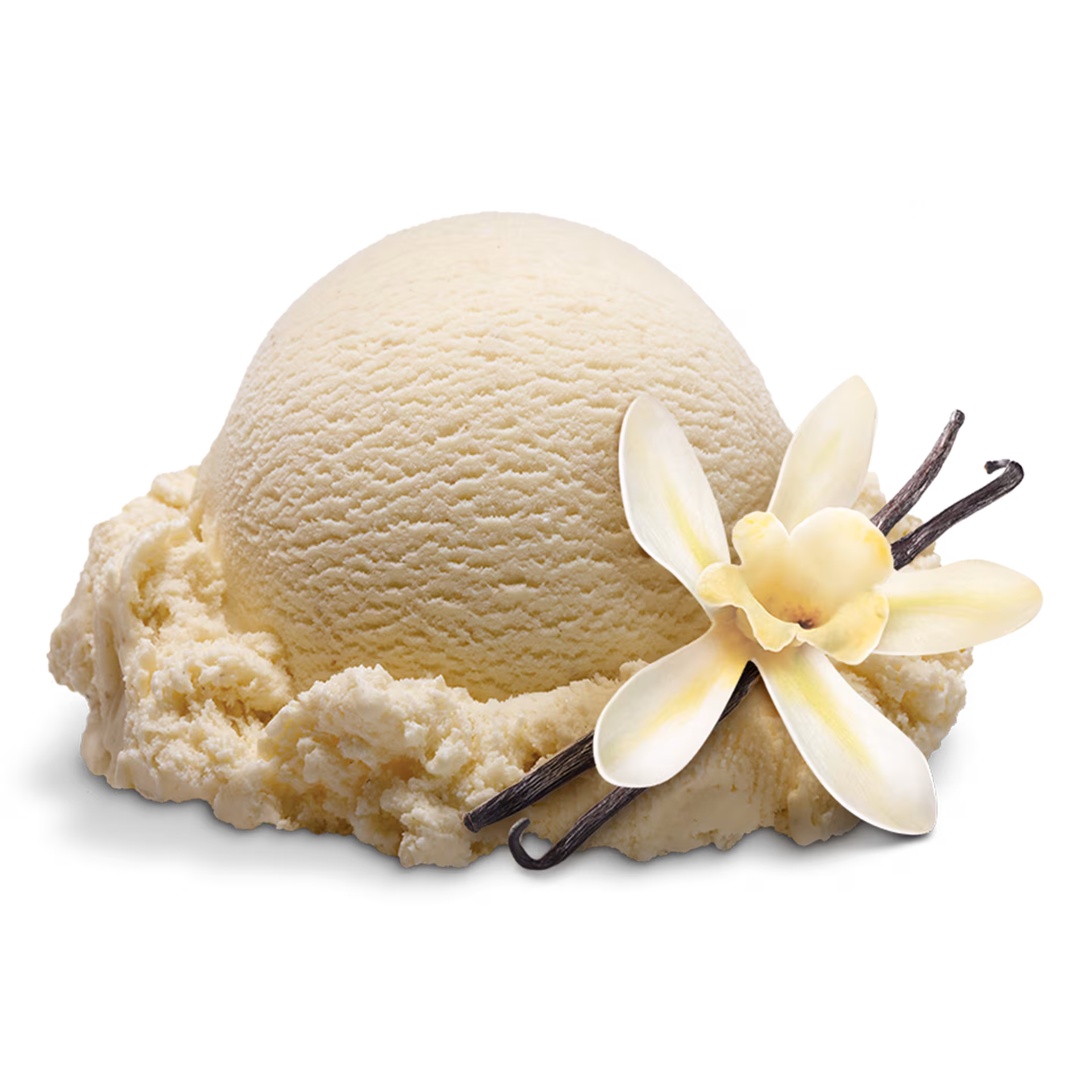 vanilla2